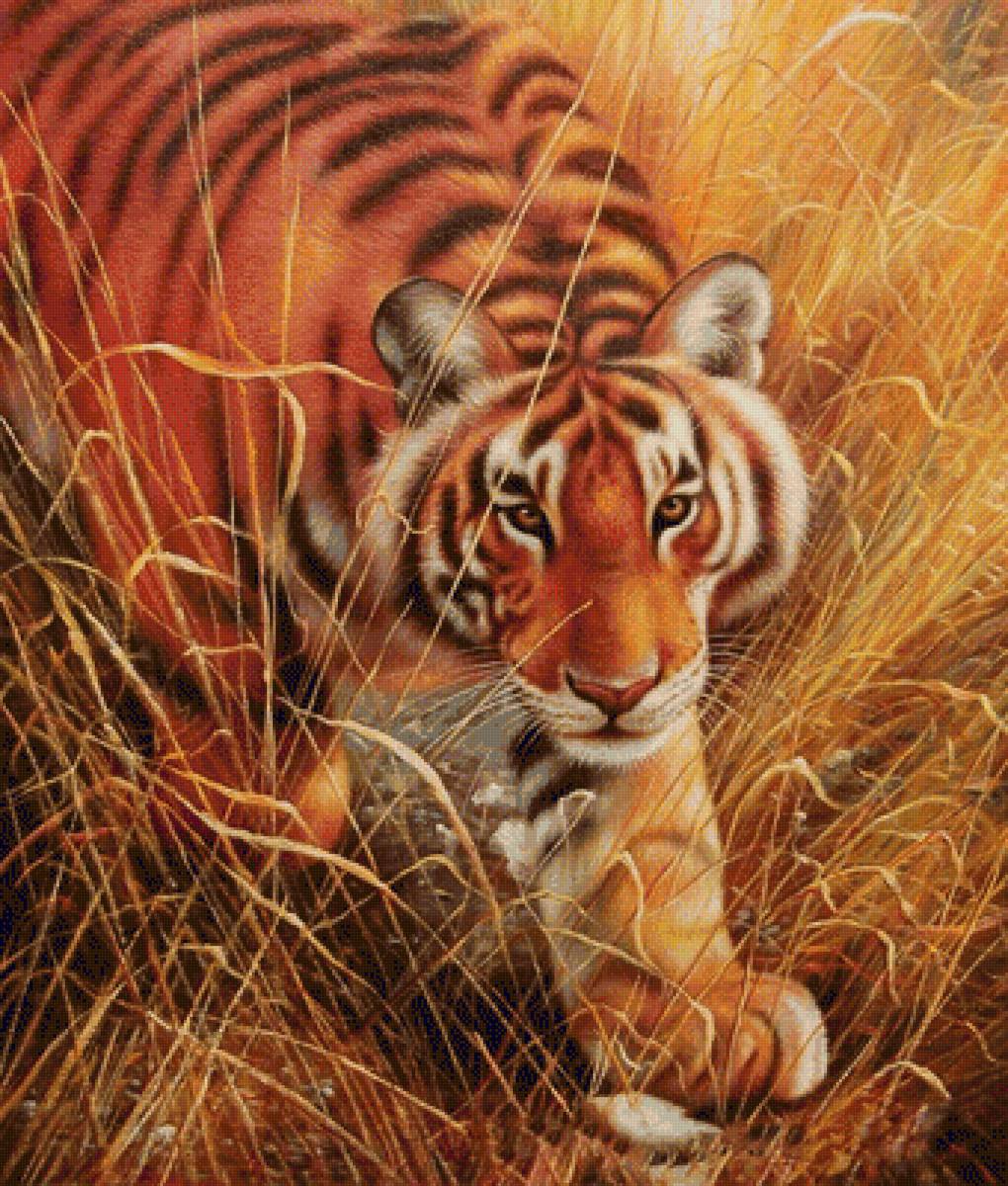№1400394 - тигр, хищники, тигры, животные - предпросмотр