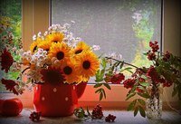 цветы - оригинал