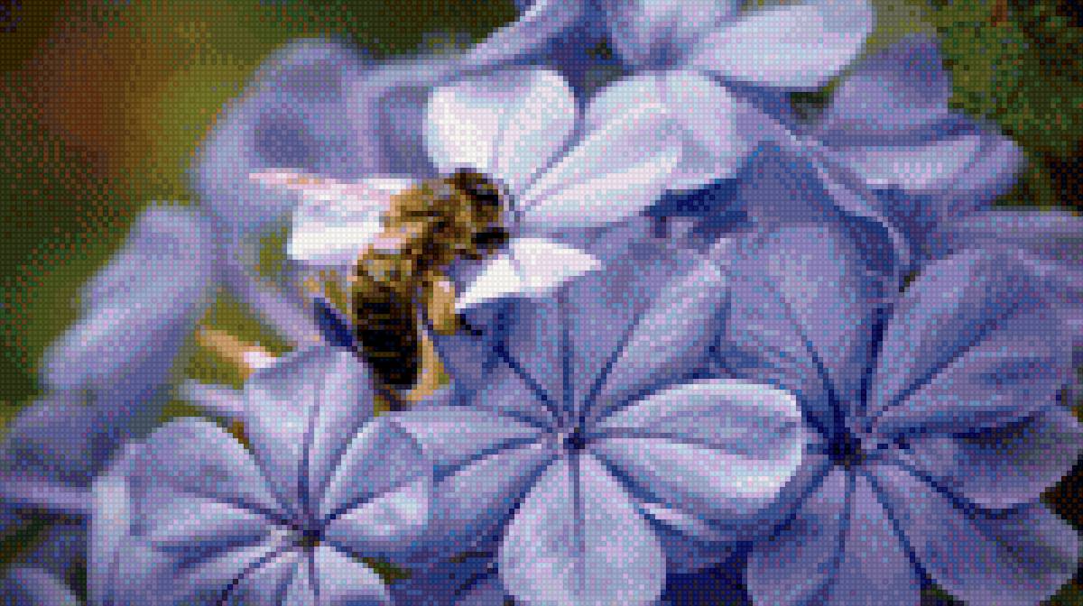 гортензия и пчела - гортензия, пчела, лето - предпросмотр