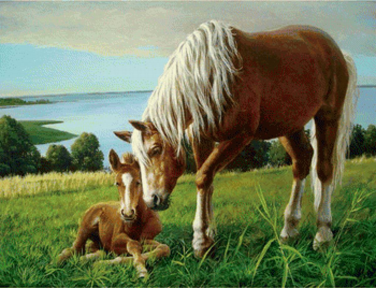 Лучшие речи кони. Картина Вячеслава Леоновича щедрая душа. Лошадь с жеребенком на лугу.