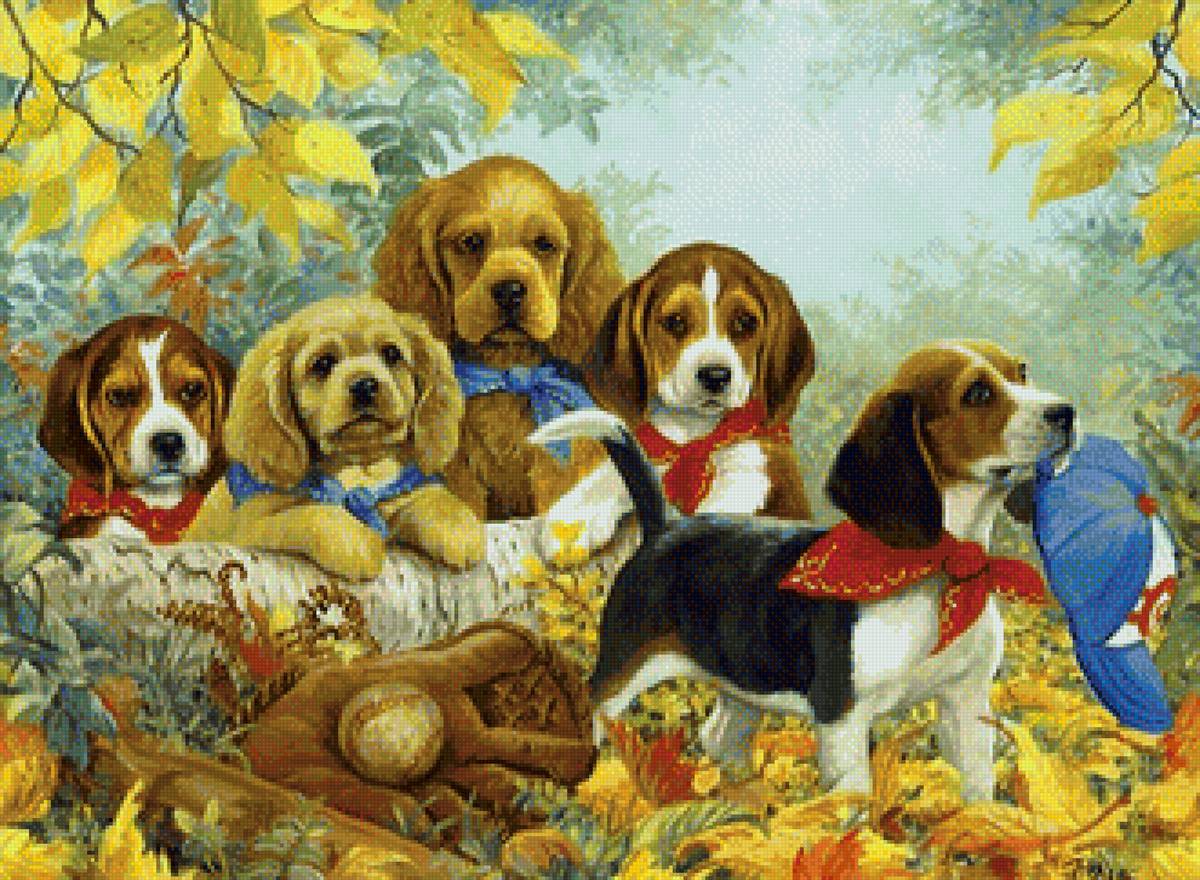 Дружная команда - собаки, животные - предпросмотр