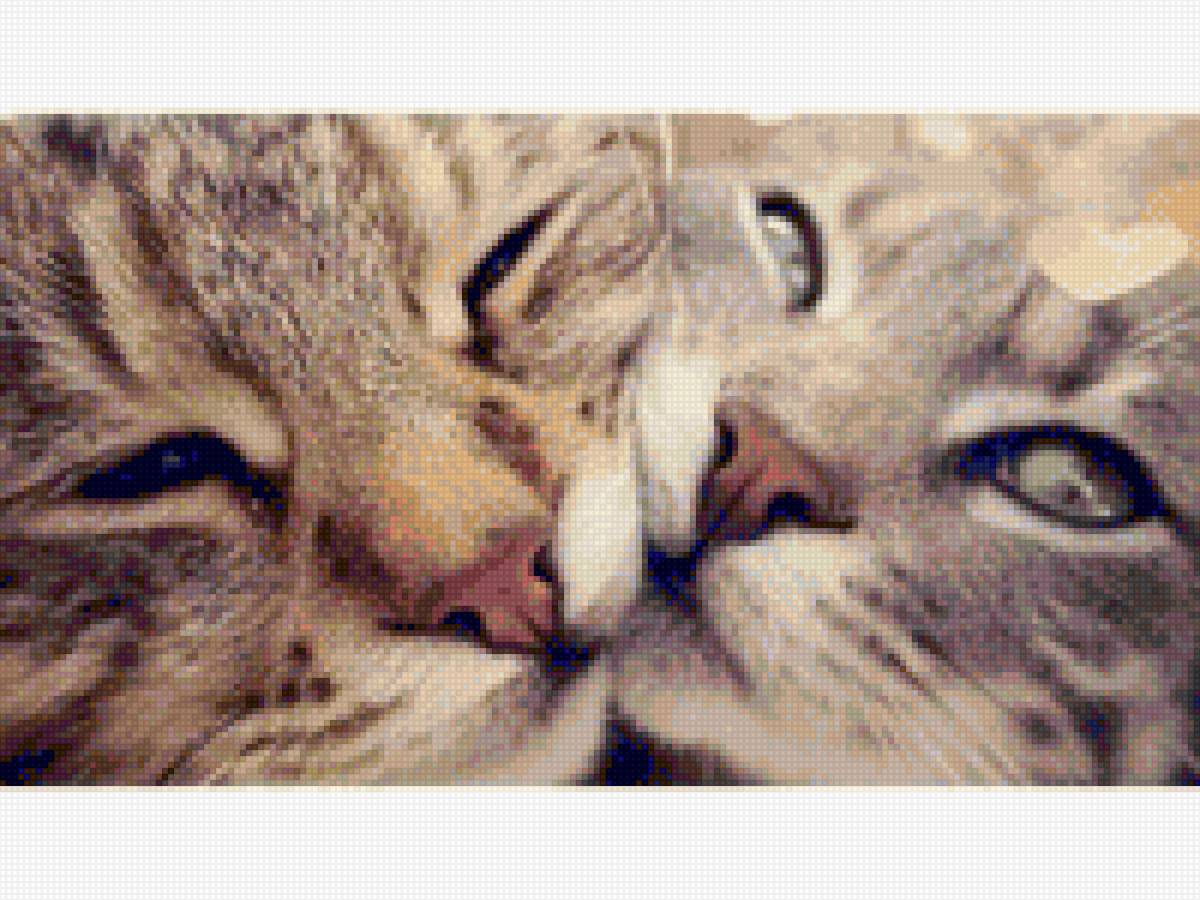 Кошки - пара, животные, любовь - предпросмотр