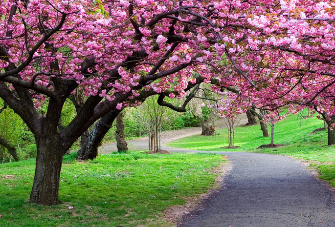 Природа - дорога, природа - оригинал