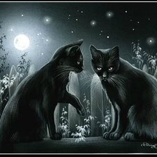 Схема вышивки «Лунное свидание»