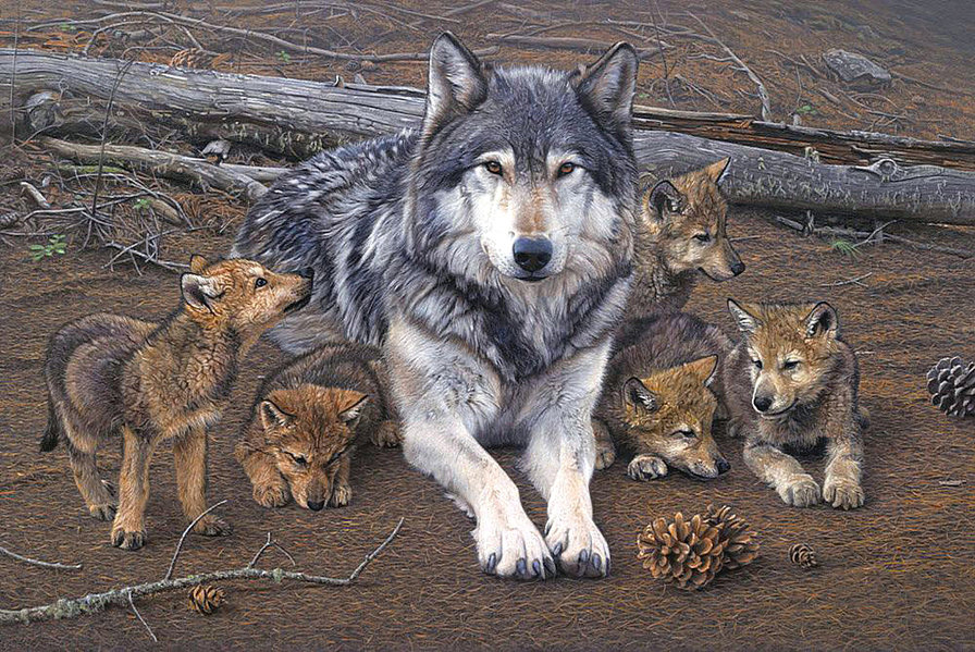 663 - оригинал