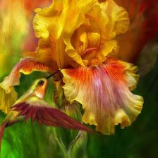 Схема вышивки «Серия "Птицы"»