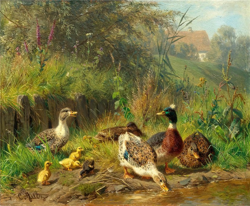 Уточки - птицы - оригинал