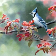 Схема вышивки «Серия "Птицы"»