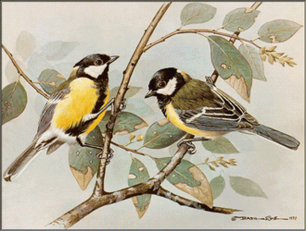 Описание картины птицы. Базиль Эде художник птицы. Английский художник Базиль Эде. Иллюстрации с изображением птиц. Две синицы.