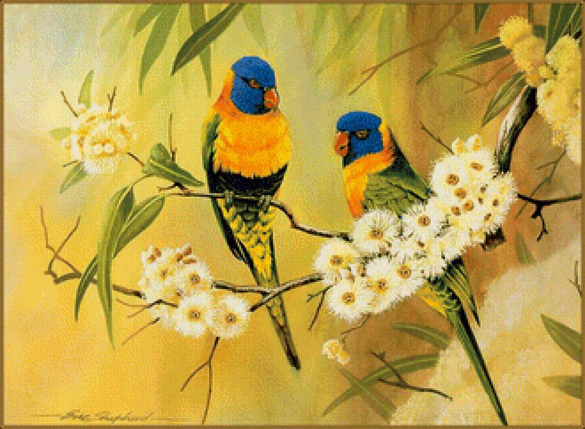 Серия "Птицы" - птицы - предпросмотр