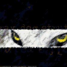 Оригинал схемы вышивки «Глаза волка» (№1403332)