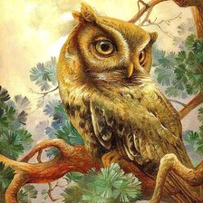 Схема вышивки «сова»