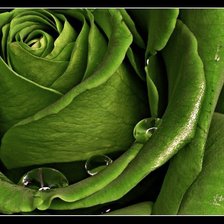 Схема вышивки «№1403482»