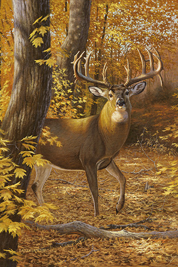 №1404018 - оригинал