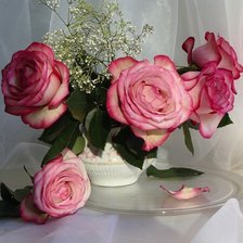 Схема вышивки «№1404322»