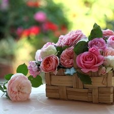 Схема вышивки «№1404334»