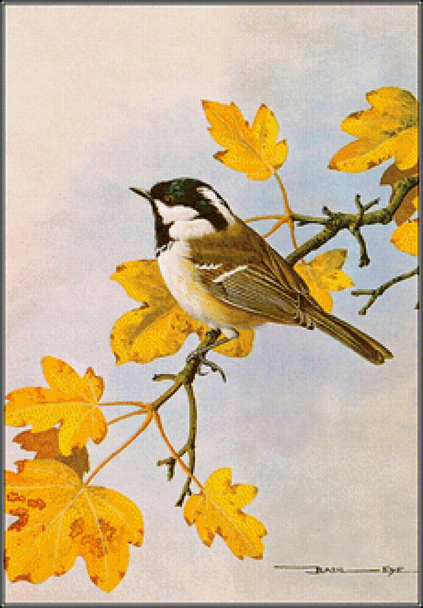 Серия "Птицы" - птицы - предпросмотр