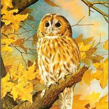 Схема вышивки «Серия "Птицы"»