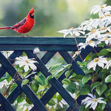 Схема вышивки «Серия "Птицы"»