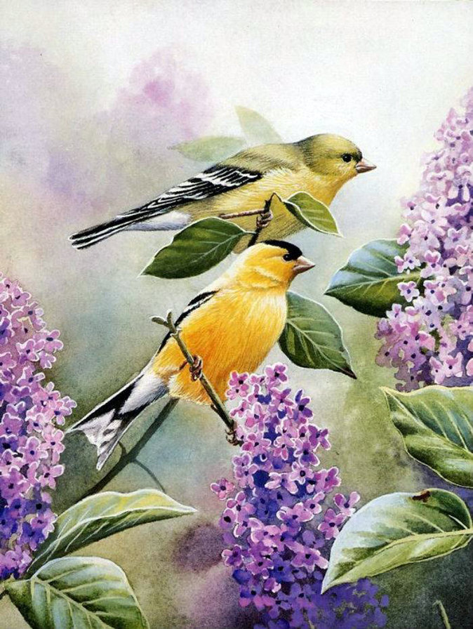 Серия "Птицы" - птицы, цветы - оригинал