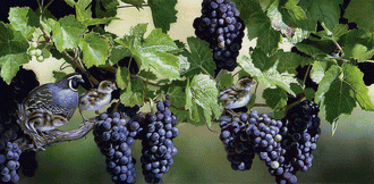 Серия "Птицы" - птицы - предпросмотр