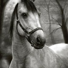 Схема вышивки «№1404626»