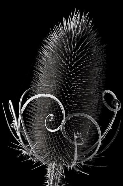 №1404627 - оригинал