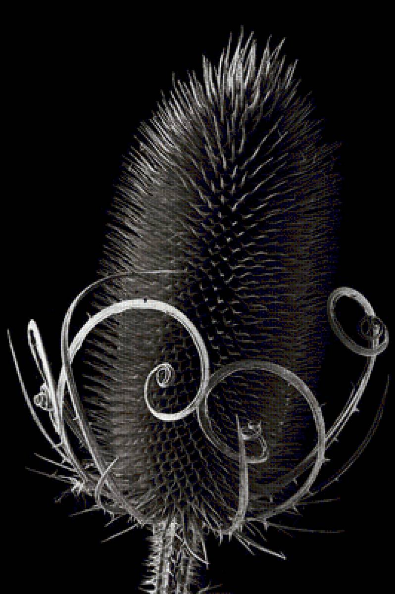 №1404627 - предпросмотр