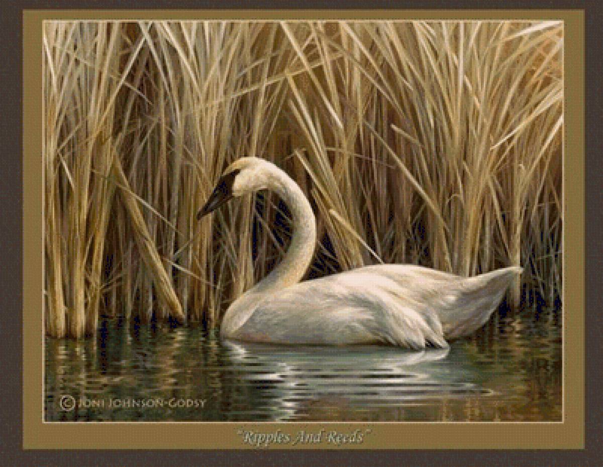 №1404628 - предпросмотр