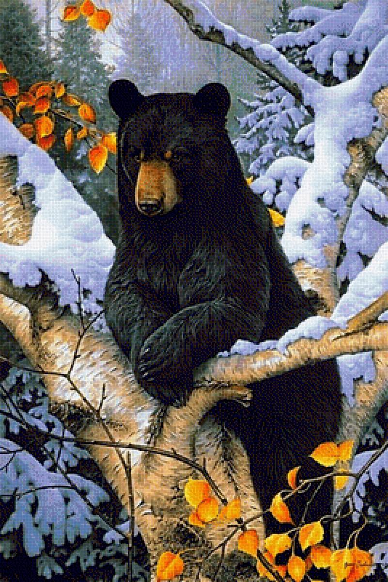 мишка - природа, зима, животные, пейзаж - предпросмотр