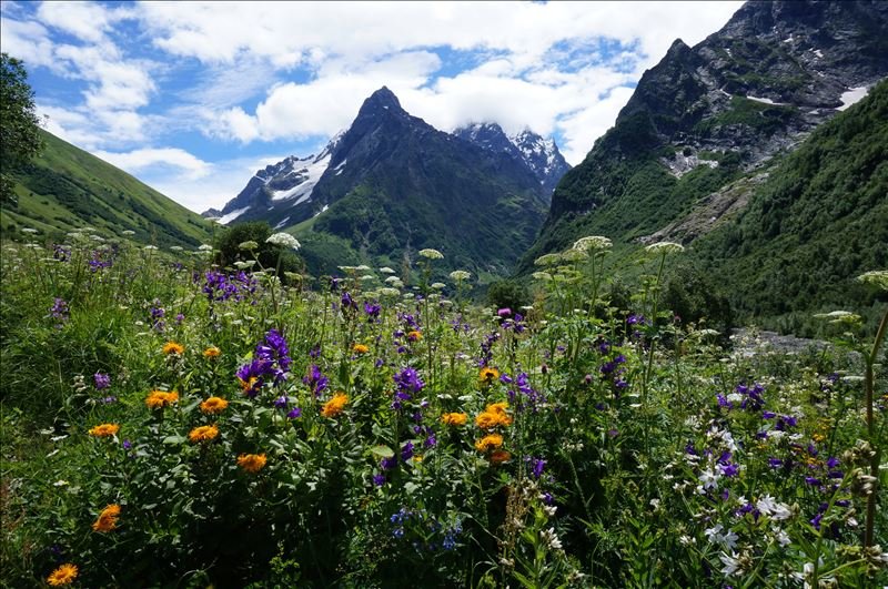 Домбай - горы - оригинал