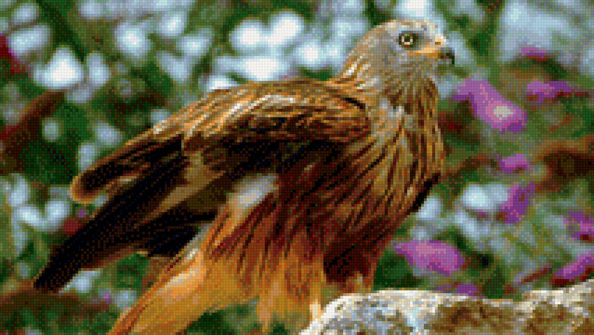 орел - птицы - предпросмотр