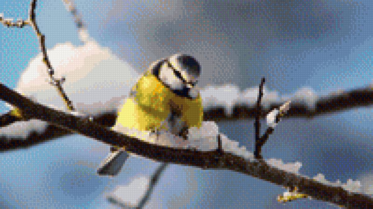 синичка - птицы - предпросмотр