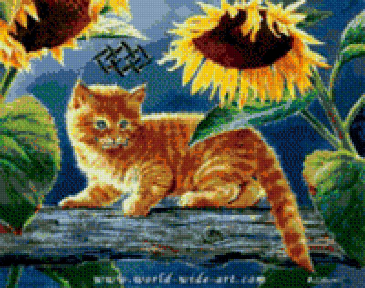 рыжий котик - кошки - предпросмотр