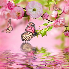 Схема вышивки «бабочка»