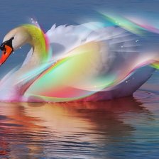 Схема вышивки «радужный лебедь»