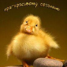 Схема вышивки «кря-крясивому созданию»