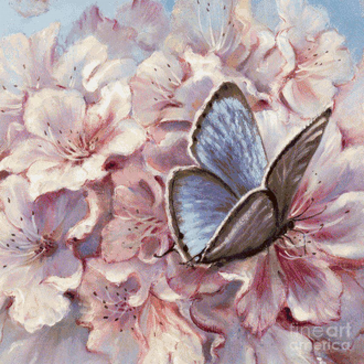 Бабочка - бабочки, цветы - предпросмотр