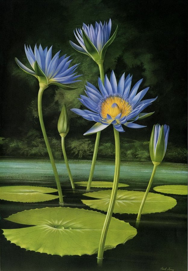 Цветы - цветы - оригинал