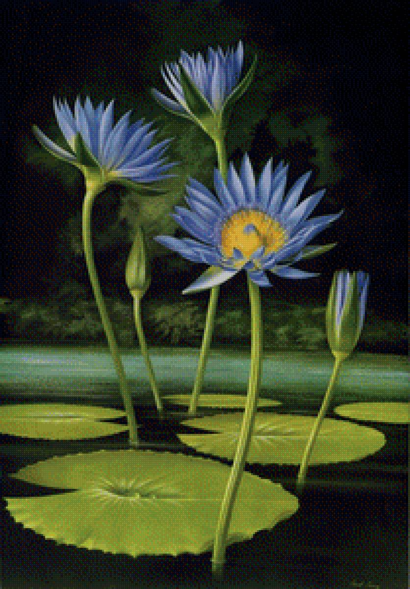 Цветы - цветы - предпросмотр