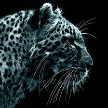 СНЕЖНЫЙ БАРС