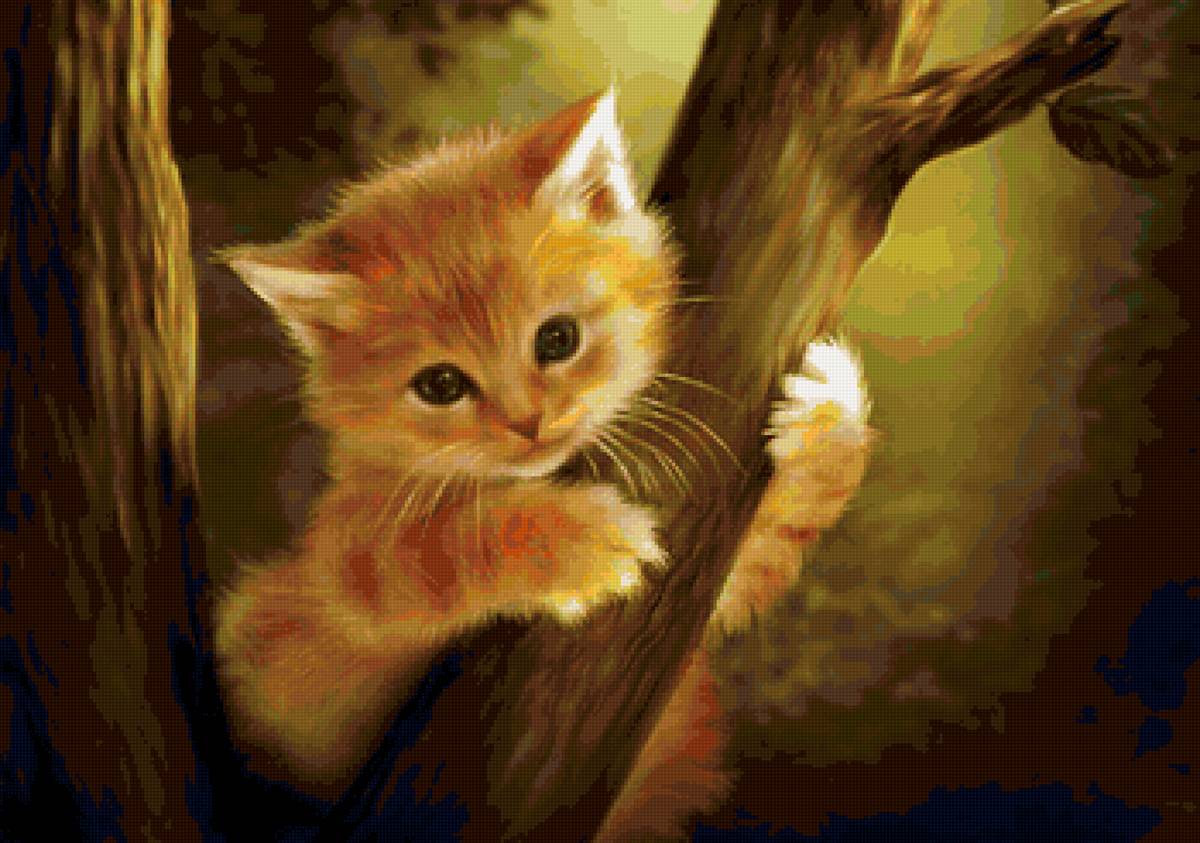 котенок - рыжий, на дереве, котенок - предпросмотр