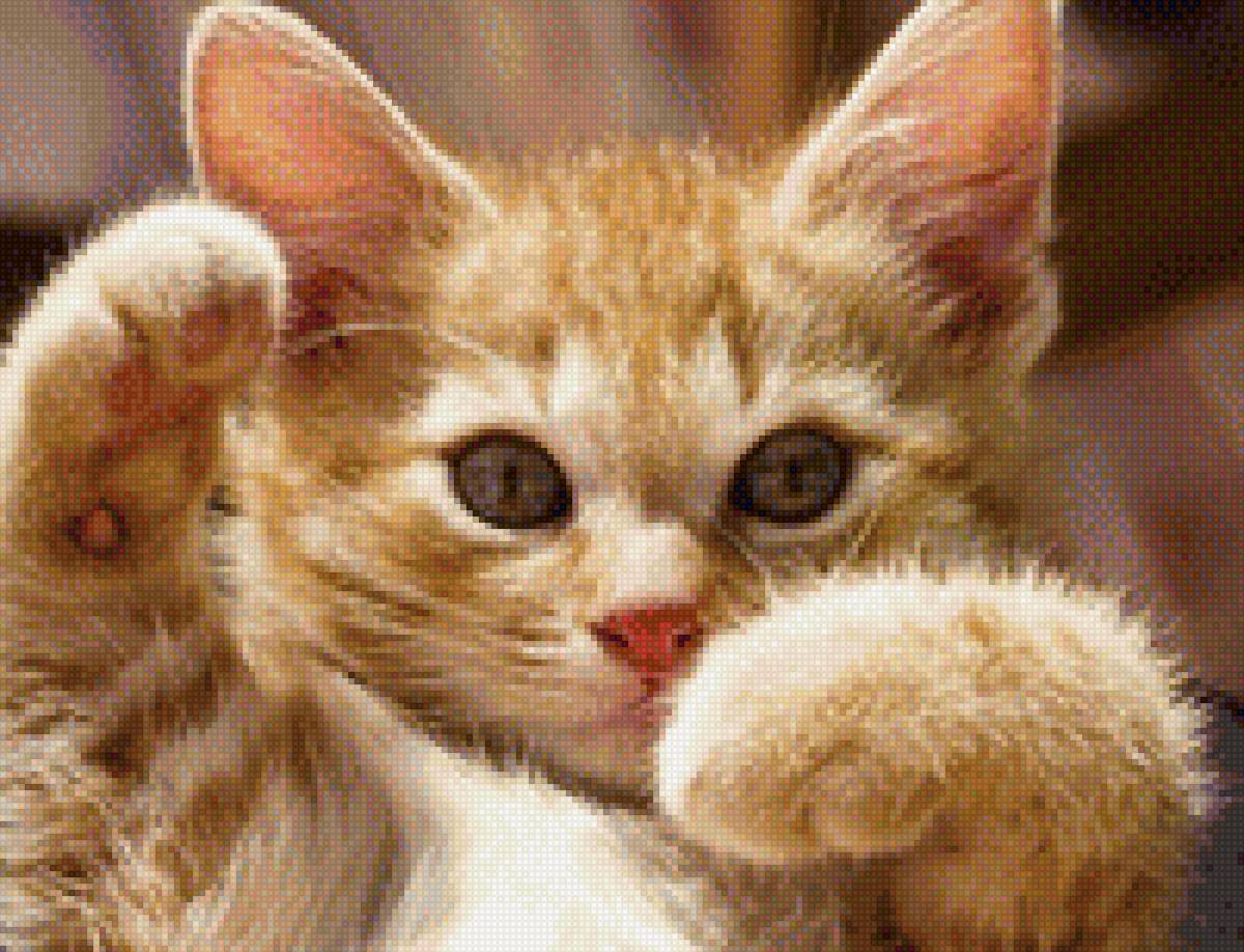 Котенок - кошки, животные - предпросмотр