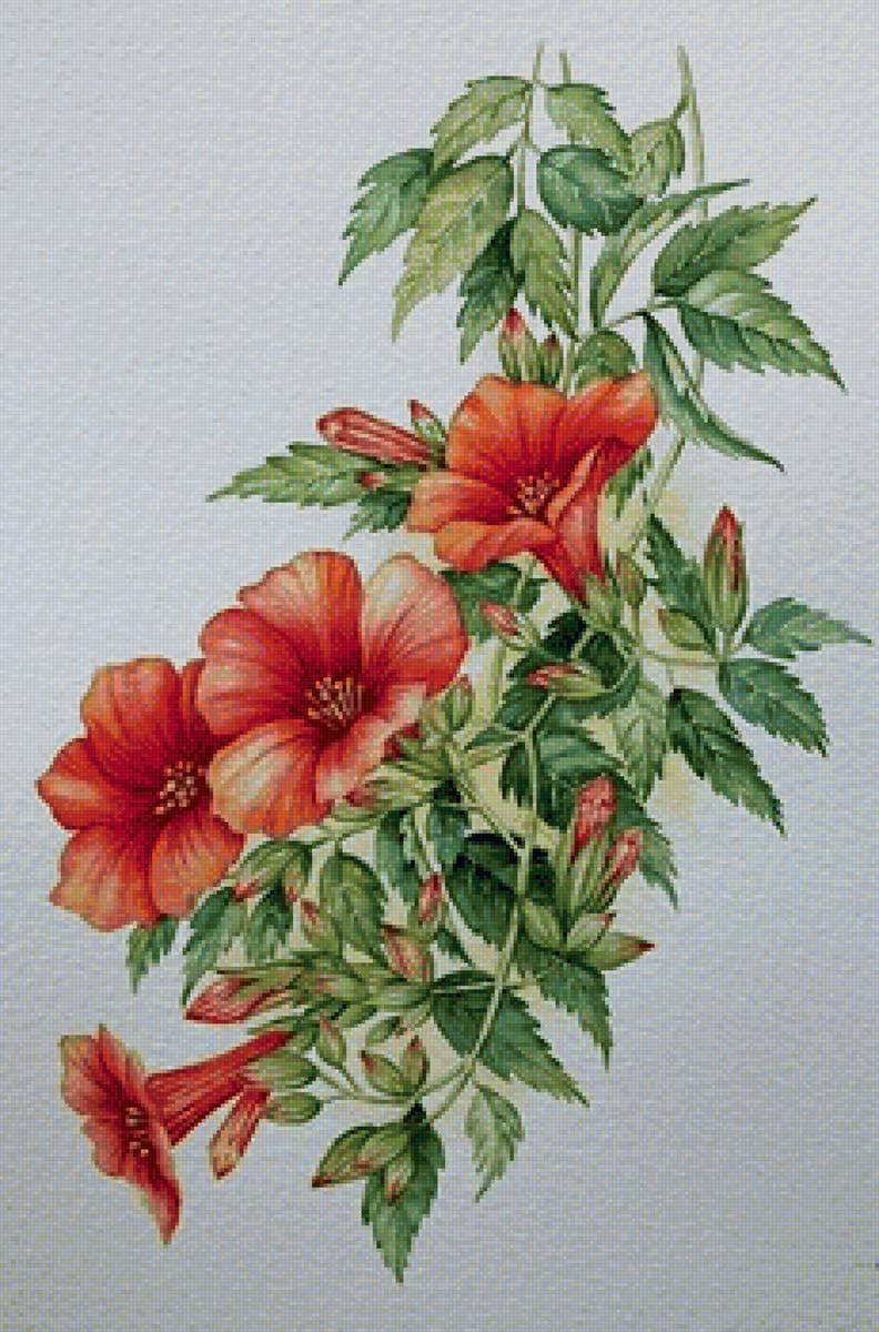 №1406131 - цветы - предпросмотр