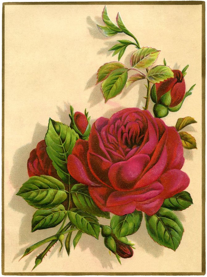 №1406191 - оригинал