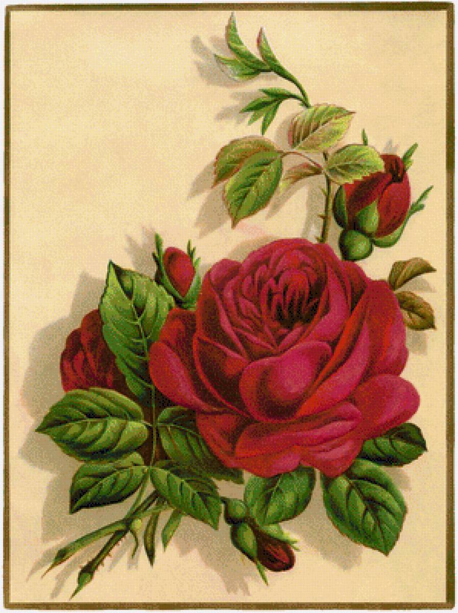 №1406191 - предпросмотр