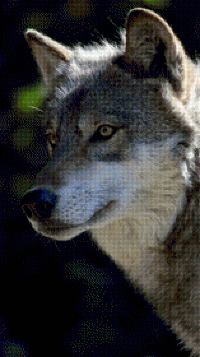 lobo - предпросмотр