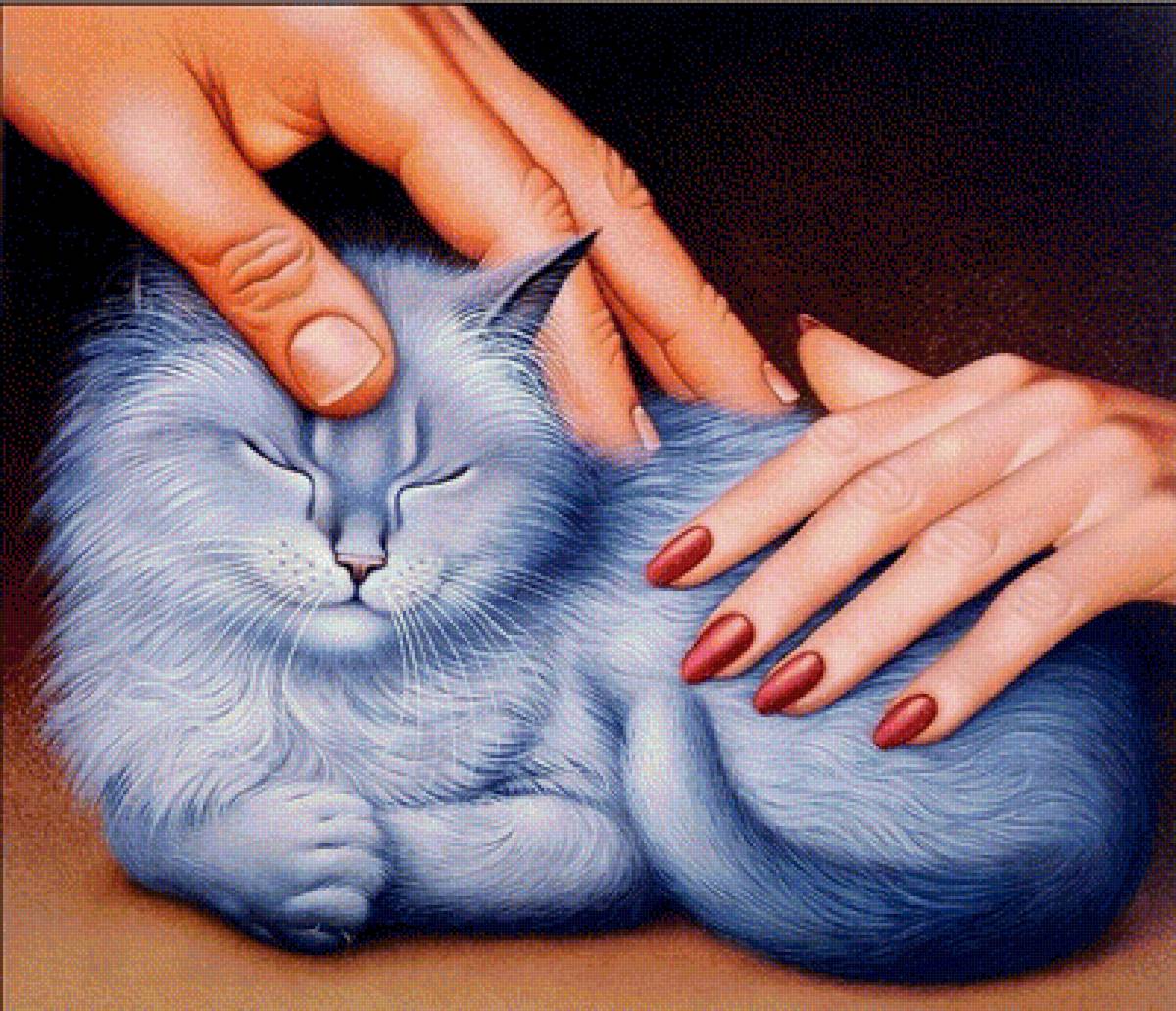 №1406414 - животные, коты - предпросмотр