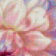 Предпросмотр схемы вышивки «цветы» (№1406757)