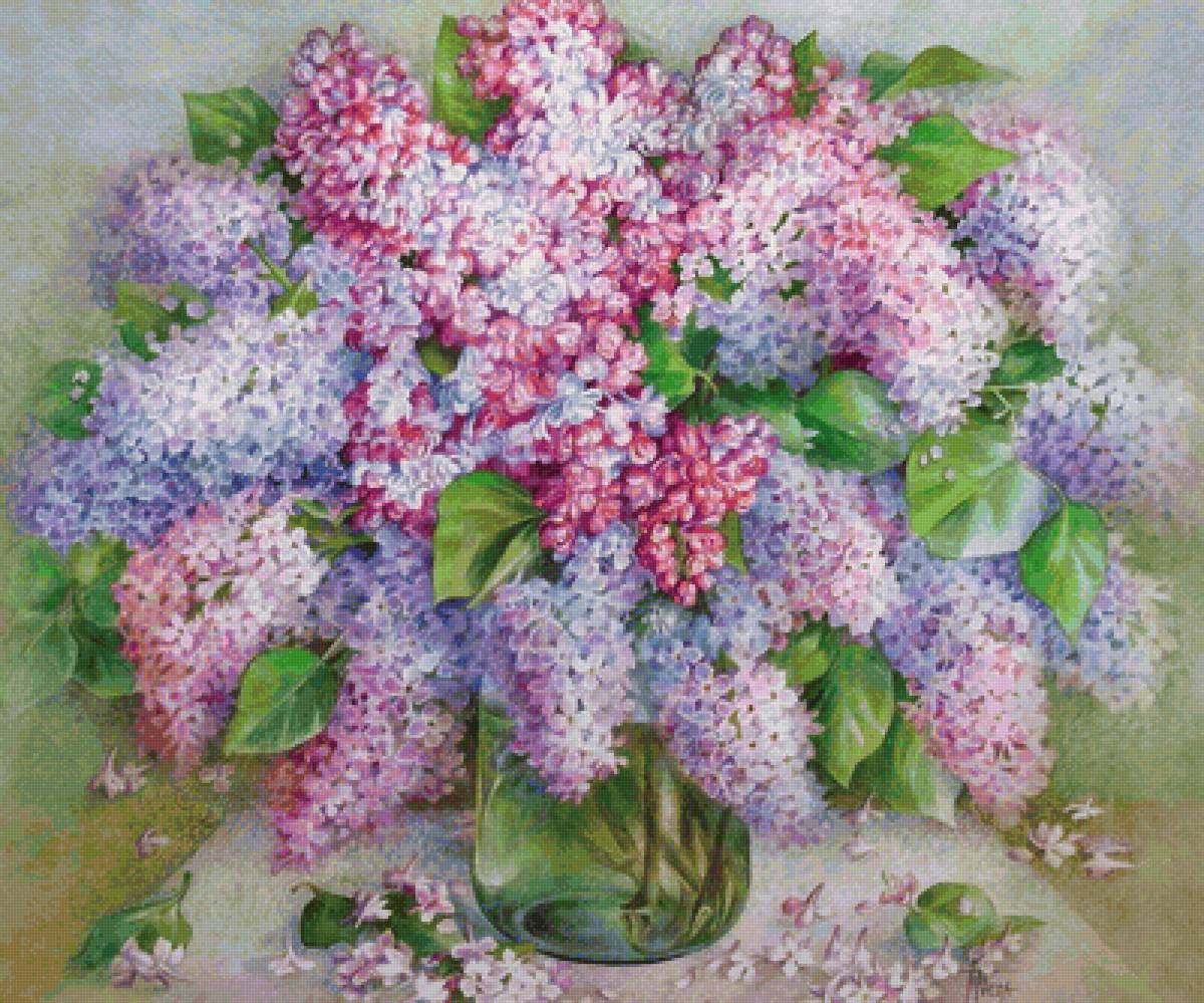 сирень - красота, цветы - предпросмотр